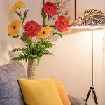 B Und E Roeck 아파트 멕켄뷔렌